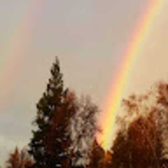 Meet your Posher, Adrianna - Picture 1 of 1